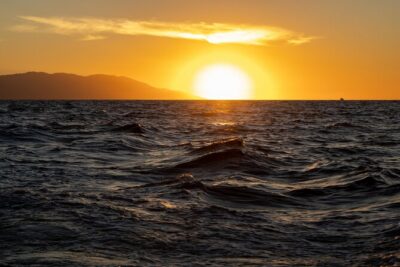2 Hours Catamaran Sunset Tour - The Included Vegan Snacks (and the Gluten-Free Caveat)