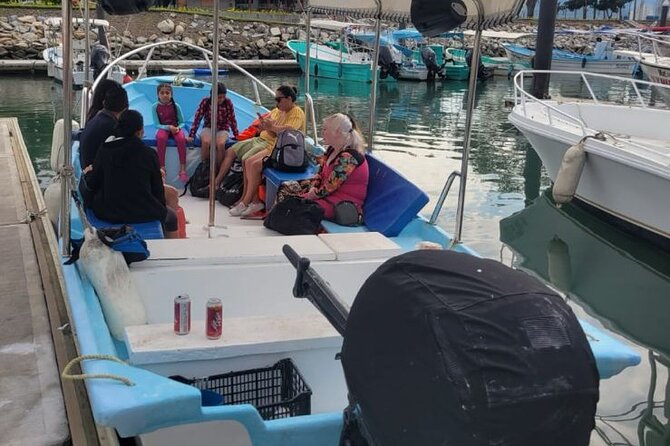 3 Hours of Whale Watching in Puerto Vallarta - The group size: why it changes your whale-watching experience