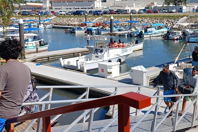 3 Hours of Whale Watching in Puerto Vallarta - Comfort and boat conditions: the main trade-offs