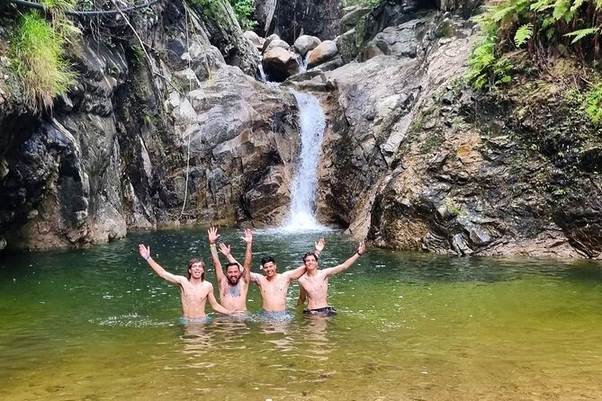 4-Hour Jungle Hike and Waterfall Swim - Quick Highlights I’d Prioritize