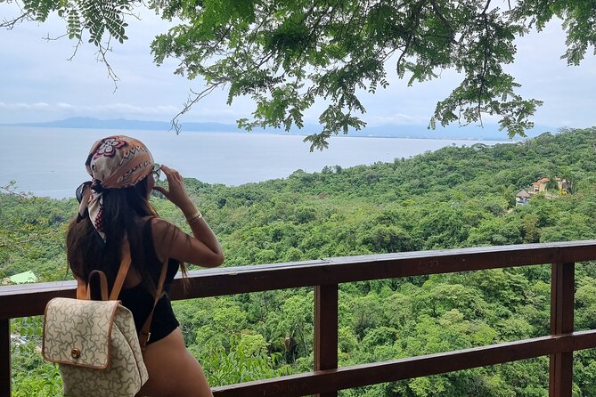 4-Hour Jungle Hike and Waterfall Swim - What the Price Covers (and Why It Can Be Good Value)