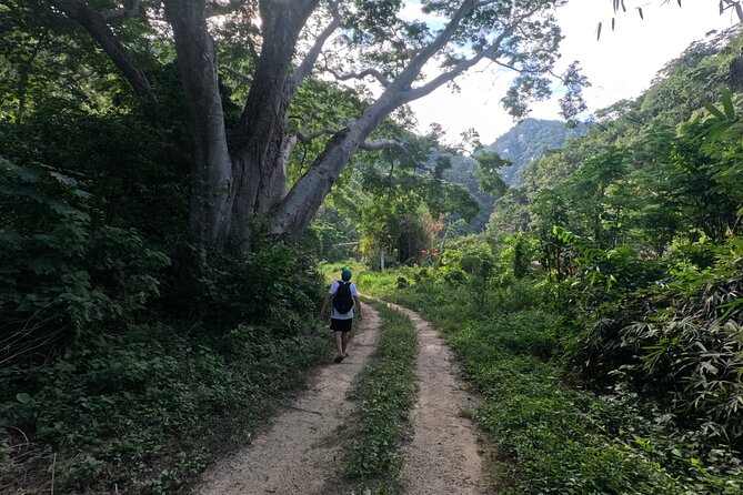 Adventure route: Hike to Cascada Escondida - What to Bring (So You Don’t Regret It at the Waterfall)