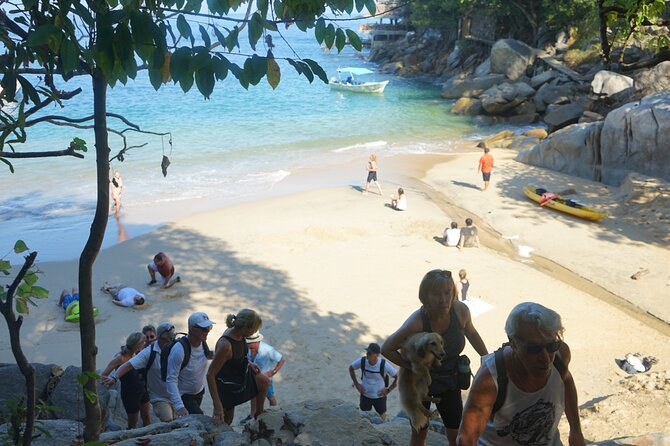 All-inclusive Colomitos cruise and Animas beach snorkeling - Boat comfort: basic seats, deck layout, and what to expect from the ride
