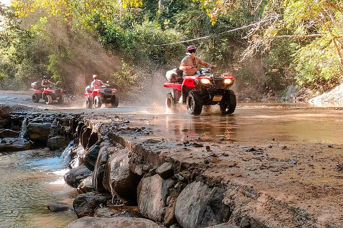 ATV-Zip Line Combo Adventure Tour from Puerto Vallarta - The Mule Ride Back: A Different Pace After the Adrenaline