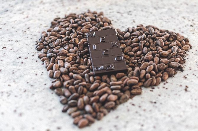 Bean to Bar Chocolate Workshop in Puerto Vallarta - What Your $62.90 Actually Buys