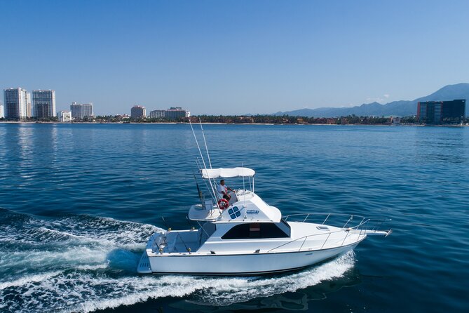 Bertram 38' Convertible Boat in Puerto & Nuevo Vallarta - The wildlife-rock snorkeling stop: seeing life over and under water