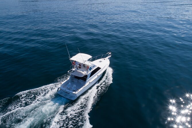 Bertram 38' Convertible Boat in Puerto & Nuevo Vallarta - Who this private Banderas Bay cruise is best for