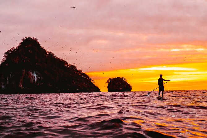 Bioluminescence by kayak or SUP to Los Arcos Puerto Vallarta - The route on the water: arches, caves, and wildlife surprises