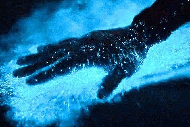 Bioluminescence & sunset local boat tour to Los Arcos Sanctuary - Los Arcos bioluminescence tour: the key things to know