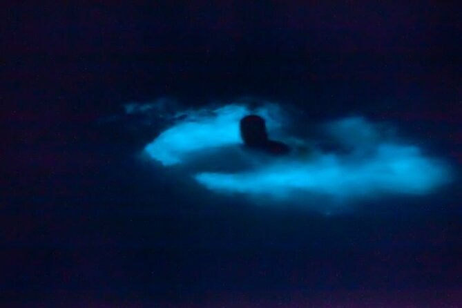 Bioluminescence & sunset local boat tour to Los Arcos Sanctuary - Sunset Bay ride: photos, wildlife chances, and timing
