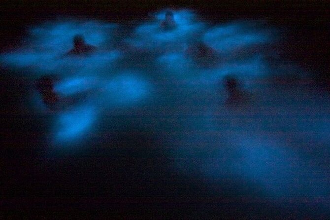 Bioluminescence & sunset local boat tour to Los Arcos Sanctuary - Bioluminescence 101: why darkness and the moon change everything