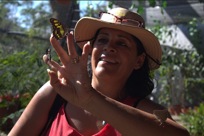 Butterflies, City tour, tequila, and beach (kids free) - Quick highlights