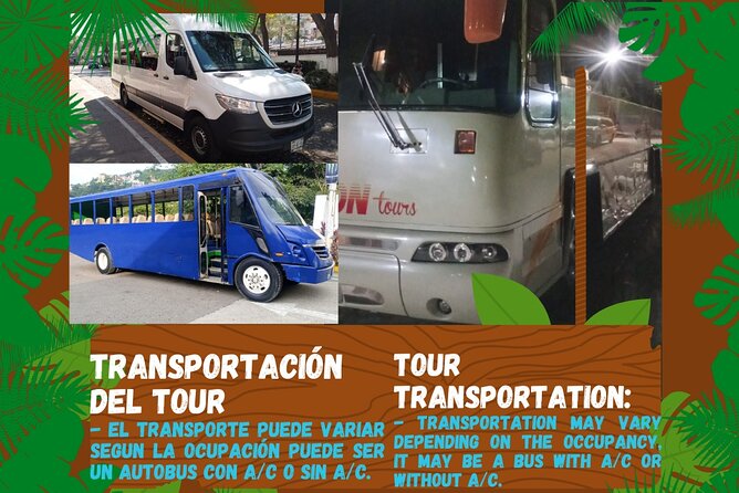 Butterflies, City tour, tequila, and beach (kids free) - Malecon Boardwalk City Tour Without Getting Off the Bus
