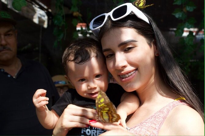 Butterflies, City tour, tequila, and beach (kids free) - Price and Value at $23.84: What’s Included, What Costs Extra