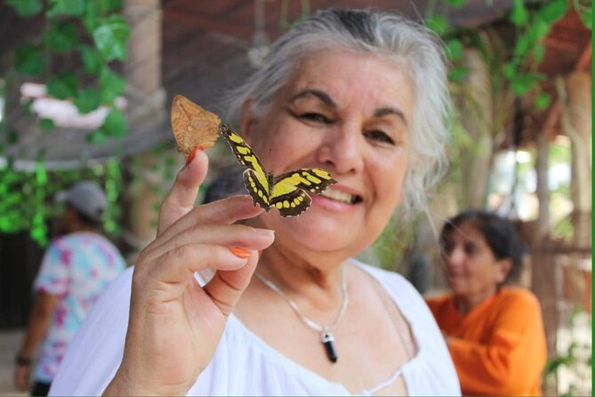 Butterflies, City tour, tequila, and beach (kids free) - Is This the Right PV Excursion for Your Family?