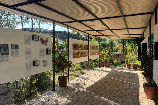 Butterfly Sanctuary, Museum & Lunch with Transport - Small group size: better questions, better viewing