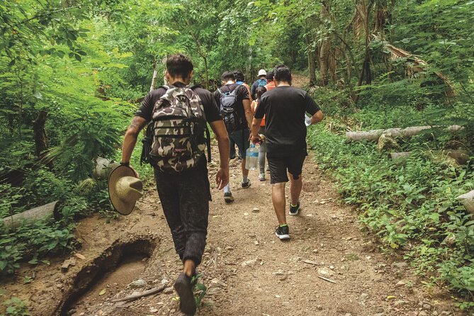 Canopy EcoPark Adventure with transportation from Puerto Vallarta - Price and Logistics: Is $90 Good Value for This Puerto Vallarta Combo?