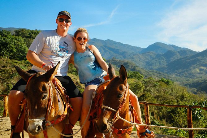Canopy River Zipline Tour and Mule Ride - The 5-Hour Flow Outside Puerto Vallarta (Stop by Stop)