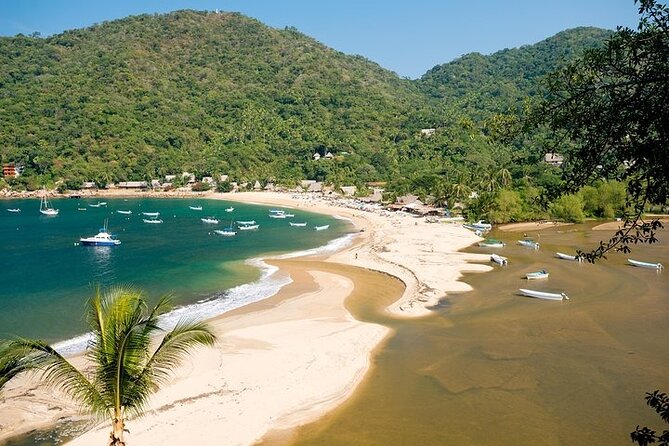 Catamaran Yelapa Beach Tour with Snorkeling, Food and Open Bar - Entering the Day at Puerto Magico (What the 10:00 AM Start Really Means)