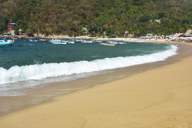 Catamaran Yelapa Beach Tour with Snorkeling, Food and Open Bar - Transfers, Tender Boats, and Beach Landings: The Main Practical Challenge