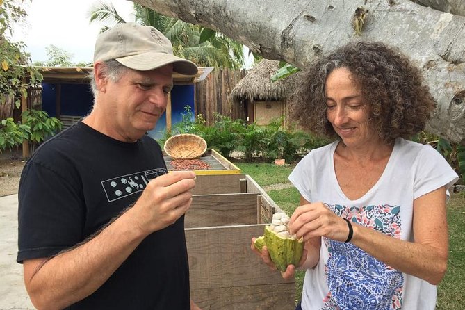 Chocolate Tour in Vallarta - From pod to roasted bean: the hands-on chocolate workflow