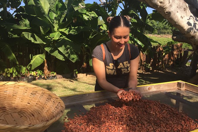 Chocolate Tour in Vallarta - The tasting part: cacao drinks, cookies, and finished chocolate