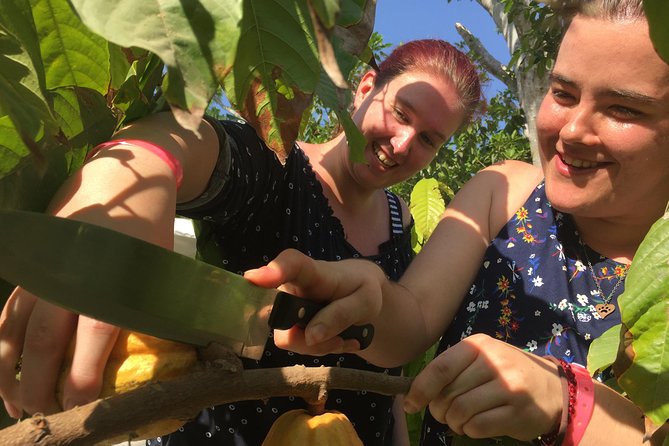 Chocolate Tour in Vallarta - Your guide really changes how fun it feels