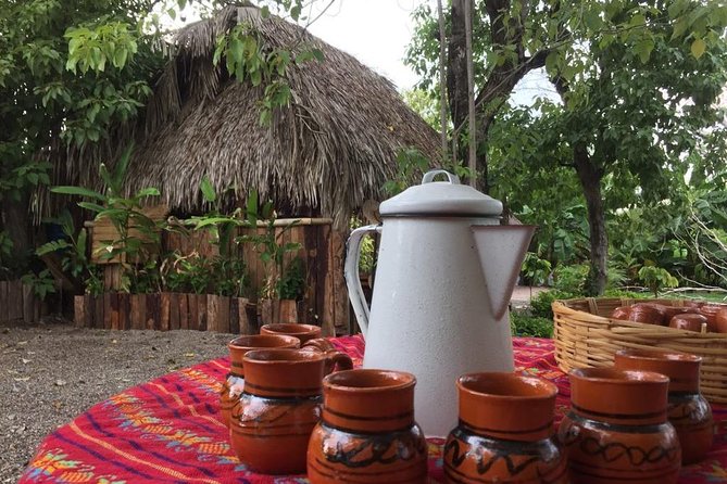 Chocolate Tour in Vallarta - Cacao history and the Bay of Banderas connection