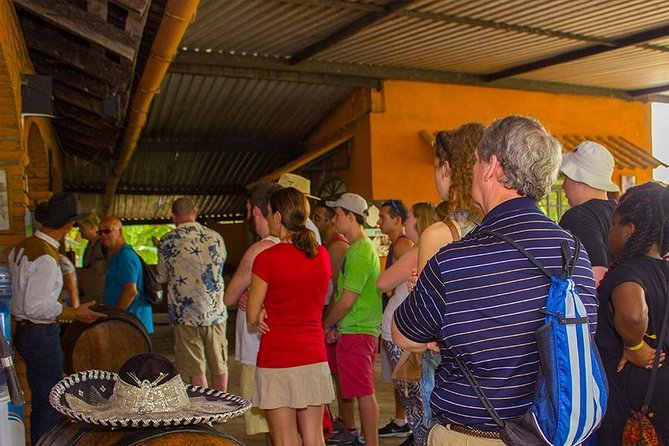 City and Tequila Tour in Puerto Vallarta - Transportation and guide style: when language matters