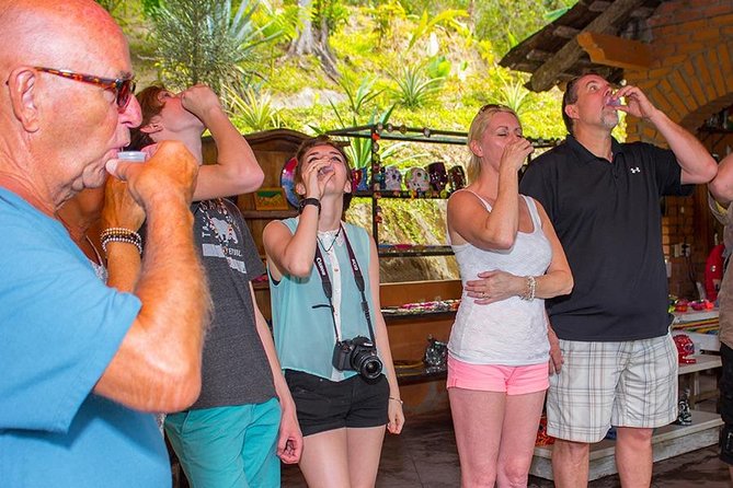 City and Tequila Tour in Puerto Vallarta - Price and value: is $66 actually a good deal?