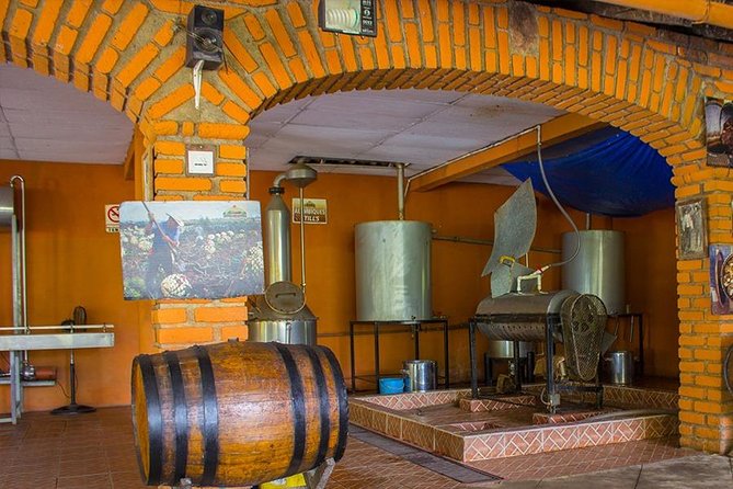 City and Tequila Tour in Puerto Vallarta - The small-group cap and what it means for your day
