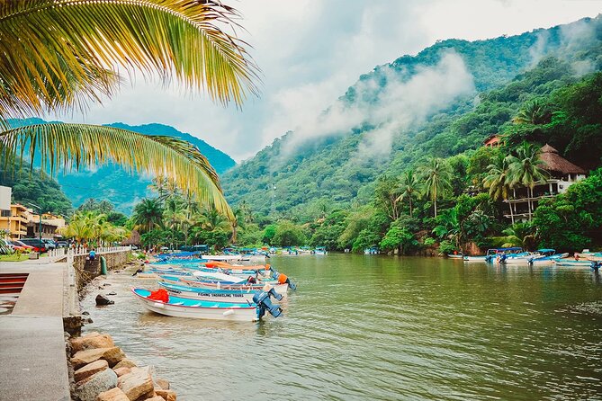 Coastal and Jungle Hiking Tour along 6 Beaches of Puerto Vallarta - Las Ánimas Beach Finish: Seafood Meal, Sun, and Marine Life Vibes