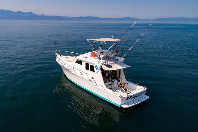 Custom 46' Boat in Puerto & Nuevo Vallarta - Whale watching certificate: a fun keepsake (and a reason to stay alert)