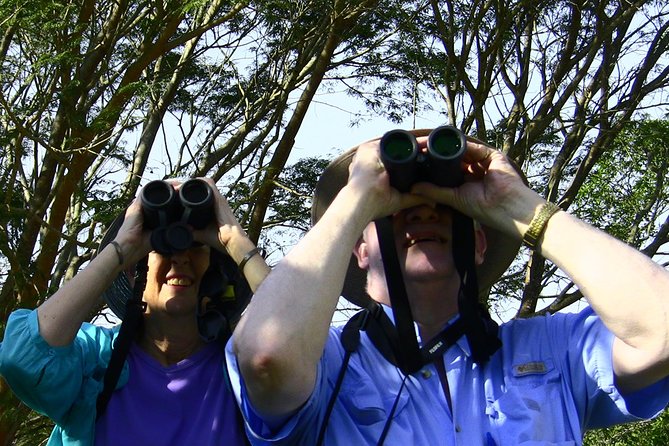 Desembocada and Ameca River Bird Paradise (Wetland and Tropical birds in PV) - The pace and the stops: lots of productive time, not endless driving