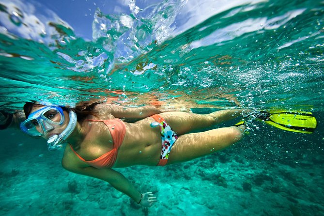 Discover Rincón De Guayabitos with a visit to Coral Island - Snorkeling equipment provided: how to get the best view