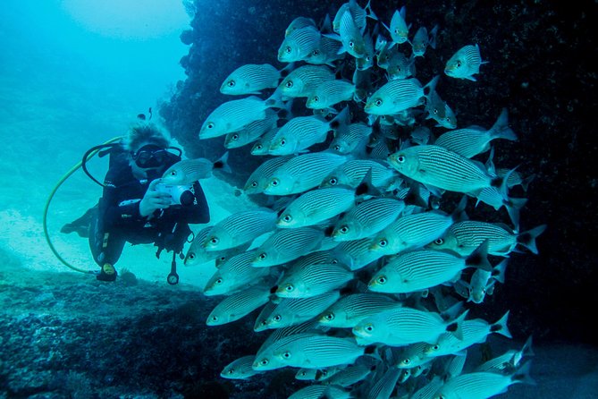 Discover Scuba experience at Las Caletas, Puerto Vallarta - The Boat Ride to Las Caletas (Expect Views and a Little Anticipation)