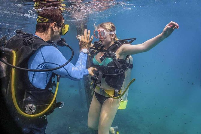Discover Scuba experience at Las Caletas, Puerto Vallarta - The Underwater Session in Coves, Caves, and Reefs