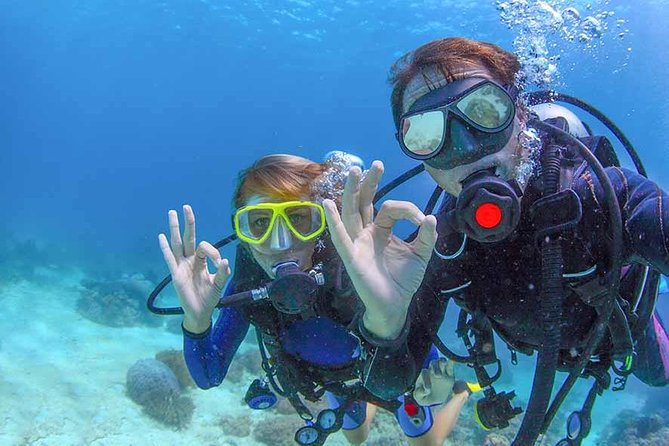 Discover Scuba experience at Las Caletas, Puerto Vallarta - What You’ll See: Fish, Turtles, Rays, and the Real-World Curveballs
