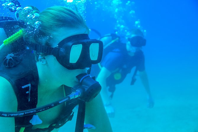 Discover Scuba experience at Las Caletas, Puerto Vallarta - Lunch, Drinks, and Island Time at Las Caletas