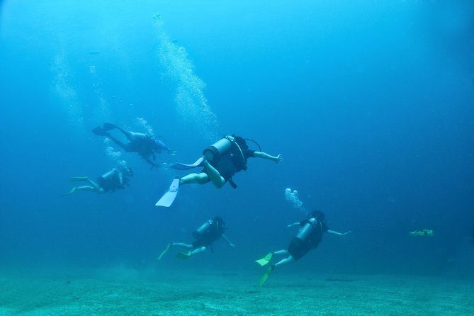 Discover Scuba experience at Las Caletas, Puerto Vallarta - A Few Practical Tips That Make This Feel Easier