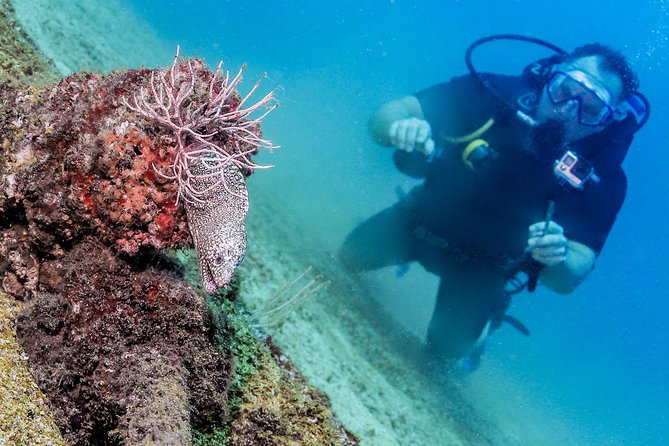 Discover Scuba experience at Las Caletas, Puerto Vallarta - On Shore Setup: Gear, Briefing, and Getting Comfy