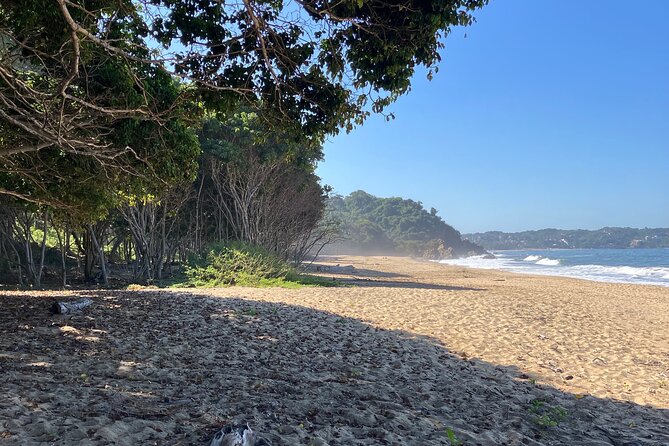 Ecocultural Jungle Hike & Secret Beach Experience - Price and Value: When $25 Feels Like a Deal