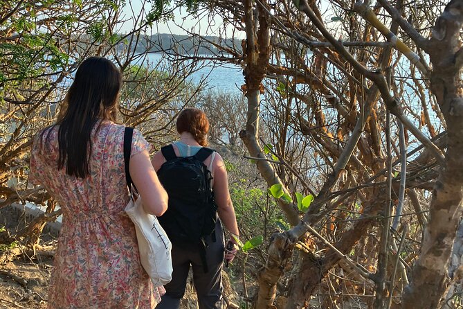 Ecocultural Jungle Hike & Secret Beach Experience - Fitness Fit: Who This Tour Is Best For