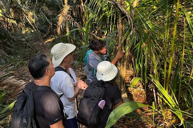 EcoHike to private beach, Jungle Walk to see plants & animals - Price check: is $33.22 worth it for three hours?