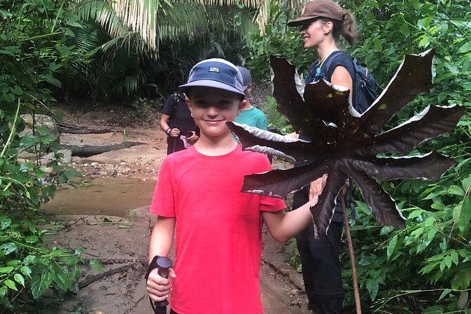EcoHike to private beach, Jungle Walk to see plants & animals - Should you book this jungle-to-private-beach hike?