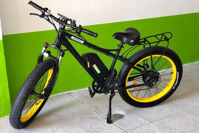 Electric Bikes Per Day - How pedal assist and full-electric power change your day