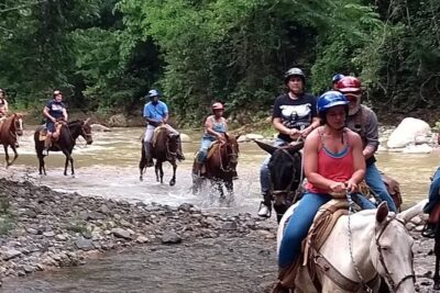 Experience 3 in 1 - Horse Riding, Zipline & ATV Shared - ATV Expedition in the jungle: fun, but not always beginner-gentle