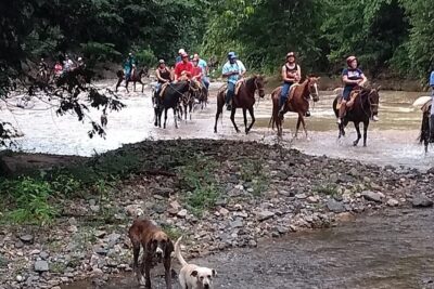 Experience Horse Riding, ATV & Zipline from Puerto Vallarta - Getting picked up and the 8:00 am start