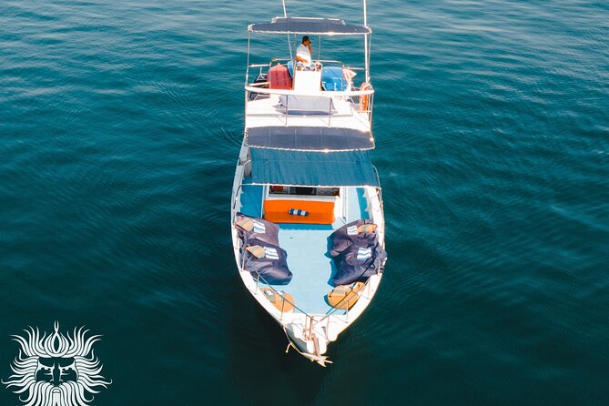 Famous Pato Bobo Adventure Boat - When marine life shows up: whales, dolphins, and seasonal odds