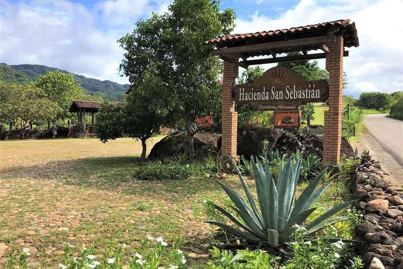 From Puerto Vallarta: Full-Day Tour to San Sebastian - The mountains-to-forest drive from Puerto Vallarta (and why it matters)